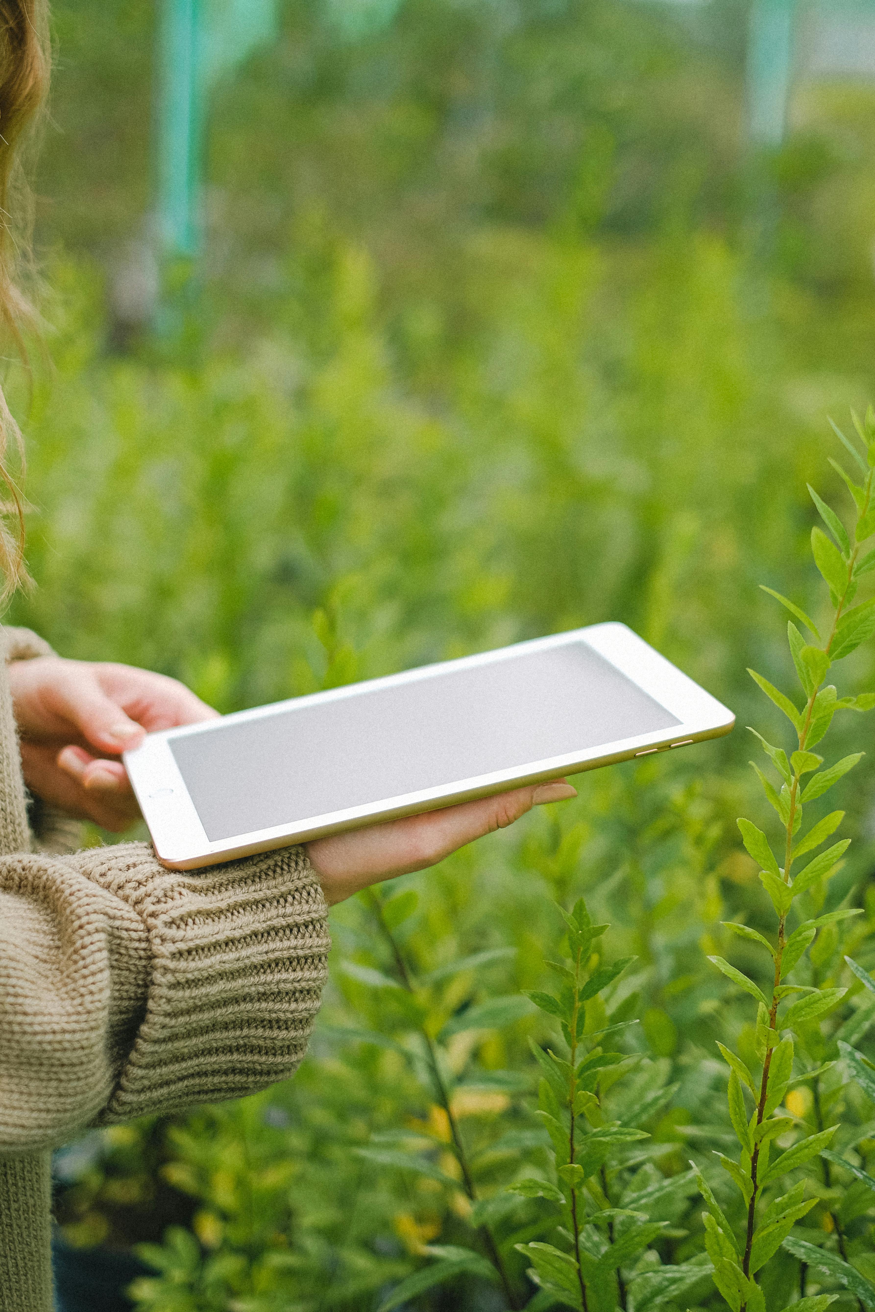 App-Entwicklung
